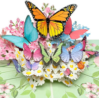Butterfly Soirée