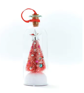 Christmas Voice Wish Bottle